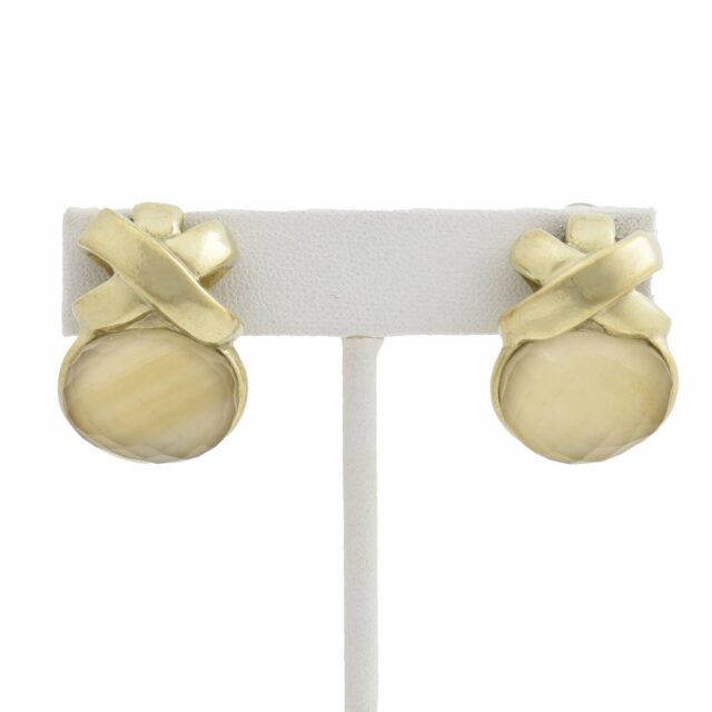 X and Stone Earring